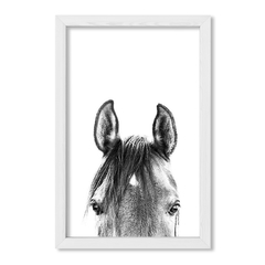 Cuadro Black and White Horse - comprar online