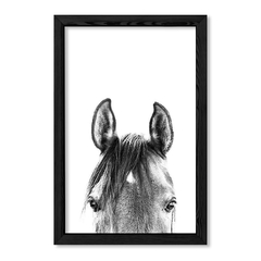 Cuadro Black and White Horse en internet