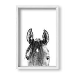 Cuadro Black and White Horse - tienda online