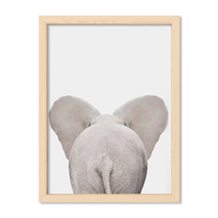 Cuadro Baby Elefante Atras