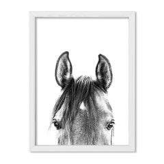 Cuadro Black and White Horse - comprar online