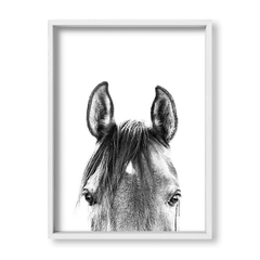 Cuadro Black and White Horse - tienda online