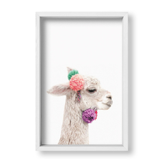 Cool Llama - tienda online