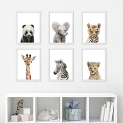 Set 6 cuadros - Baby Animals