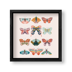 Imagen de Cuadro Some Butterflies