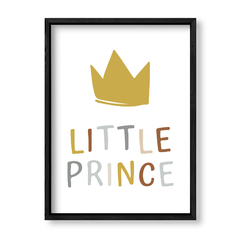 Imagen de Little Prince in colors