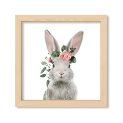 Kid Crown Rabbit