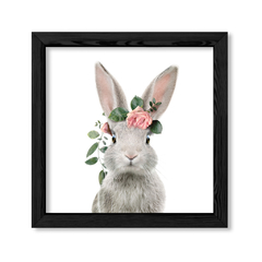 Kid Crown Rabbit en internet