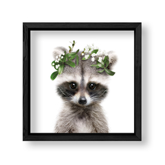 Imagen de Kid Crown Racoon