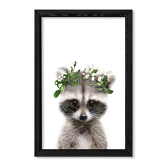 Kid Crown Racoon en internet