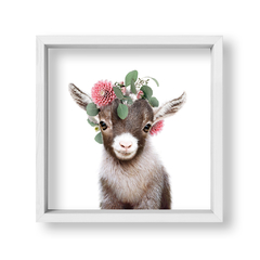 Kid Crown Goat - tienda online