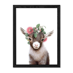 Kid Crown Goat en internet