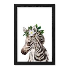 Kid Crown Zebra en internet