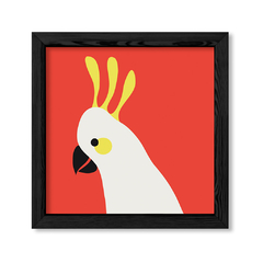 Red Parrot en internet