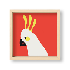 Red Parrot - El Nido - Tienda de Objetos