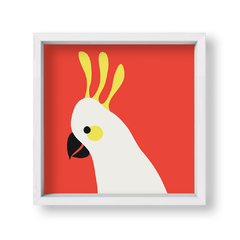 Red Parrot - tienda online