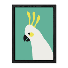 Green Parrot en internet