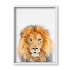 Lion Family 1 - tienda online