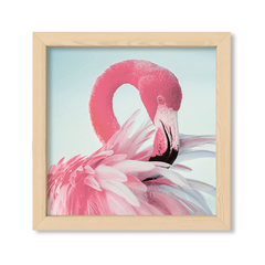 Flamingo Rosa