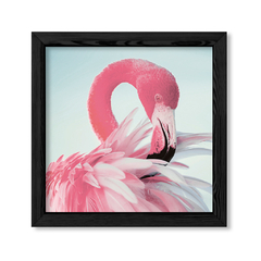 Flamingo Rosa en internet