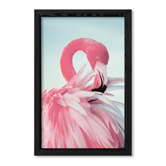 Flamingo Rosa en internet