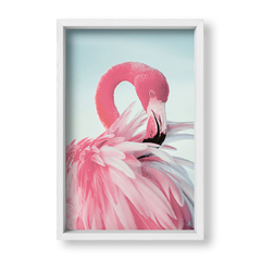 Flamingo Rosa - tienda online