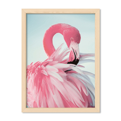 Flamingo Rosa