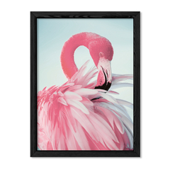 Flamingo Rosa en internet