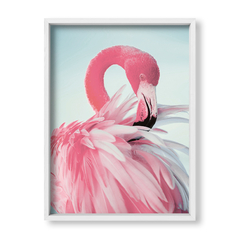 Flamingo Rosa - tienda online