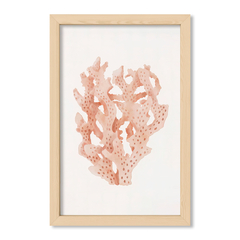 Sea Coral 1