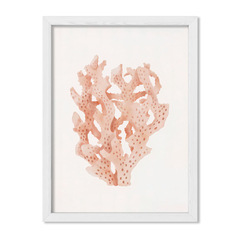 Sea Coral 1 - comprar online