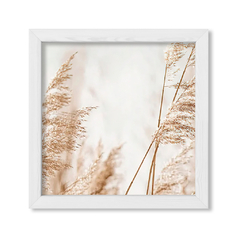 Pampas 1 - comprar online