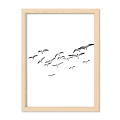 White Beach Birds