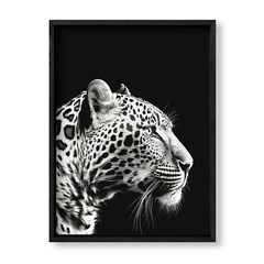 Imagen de Black Leopard