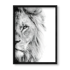 Imagen de The Lion