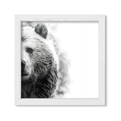 The Bear - comprar online