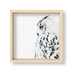 The Owl - El Nido - Tienda de Objetos