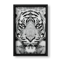 Imagen de The Tiger