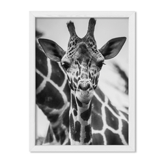 The Giraffe - comprar online