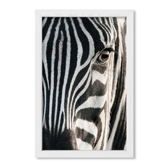 The Zebra - comprar online
