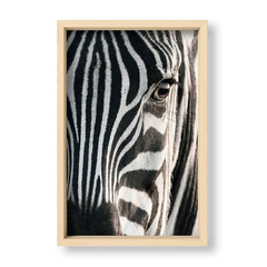The Zebra - El Nido - Tienda de Objetos