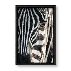Imagen de The Zebra