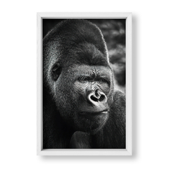 The Gorilla - tienda online