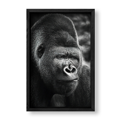 Imagen de The Gorilla