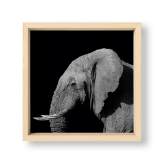 The Elephant - El Nido - Tienda de Objetos