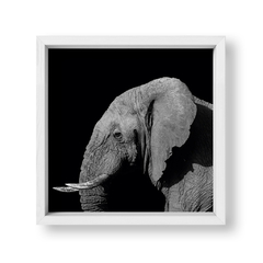 The Elephant - tienda online