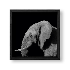 Imagen de The Elephant