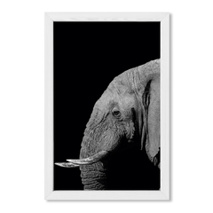 The Elephant - comprar online