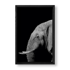 Imagen de The Elephant