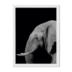 The Elephant - comprar online